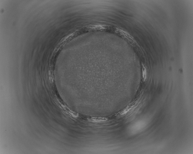 X0000071900819200607281801