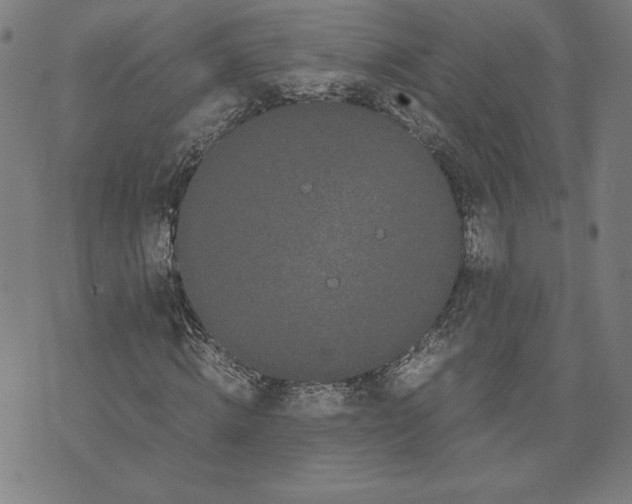 X0000071900820200607281801