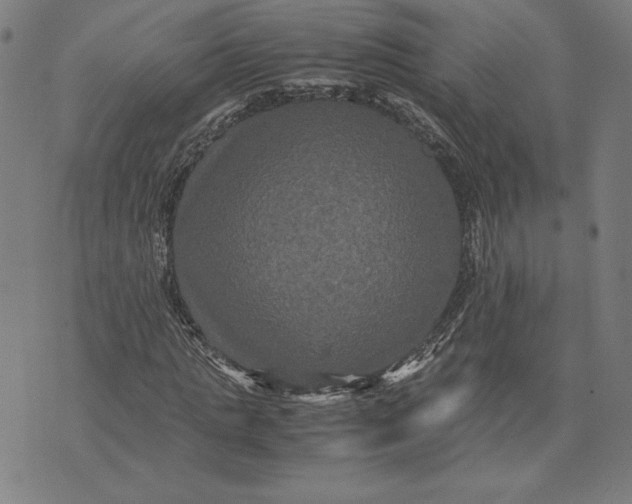 X0000071900821200607281801