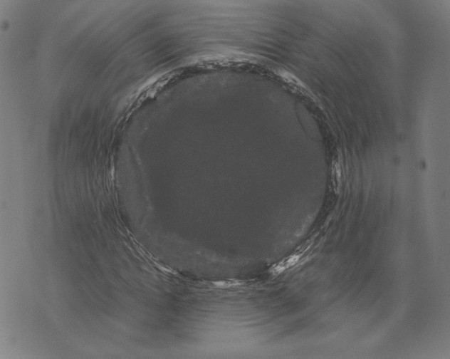 X0000071900822200607281801