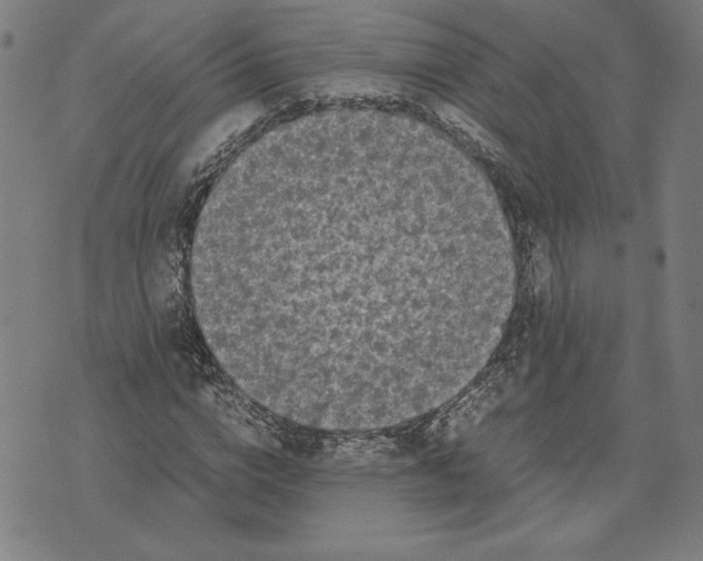 X0000071900824200607281801