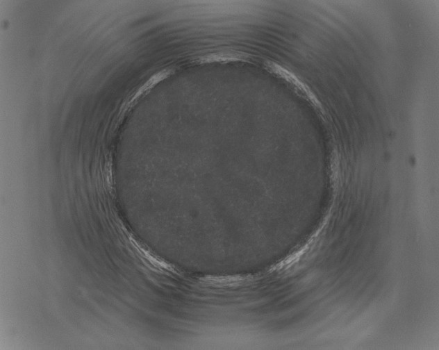 X0000071900825200607281801