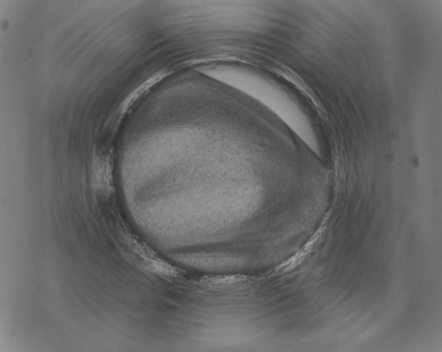 X0000071900826200607281801