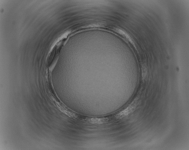 X0000071900827200607281801