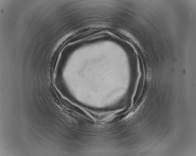 X0000071900829200607281801