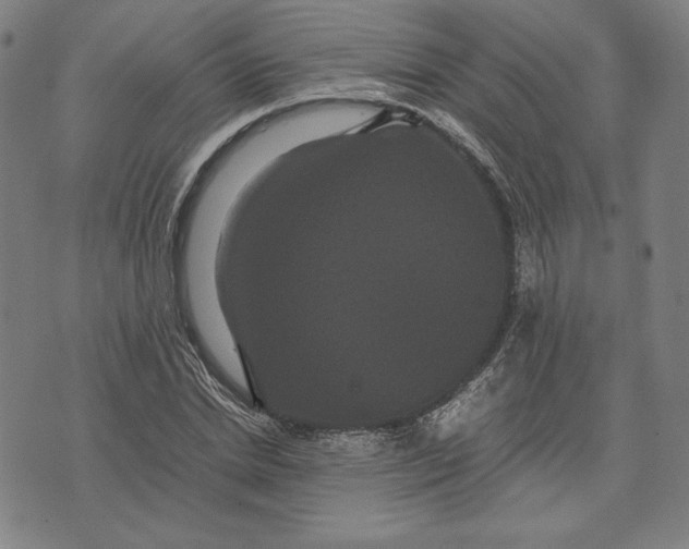 X0000071900830200607281801