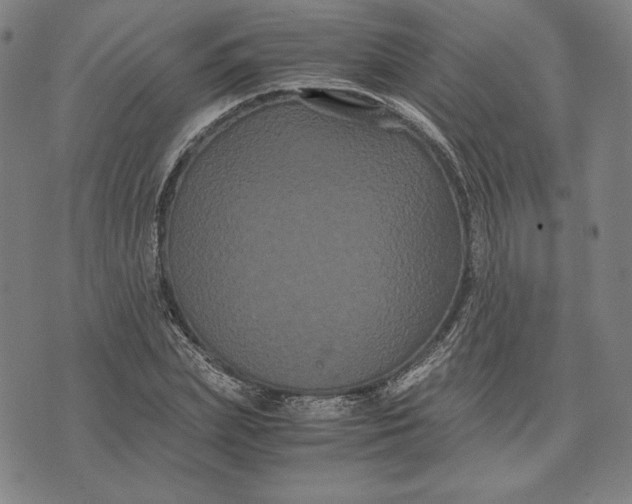 X0000071900831200607281801