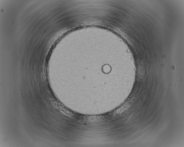 X0000071900832200607281801