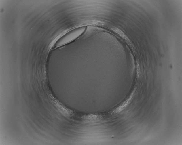 X0000071900834200607281801