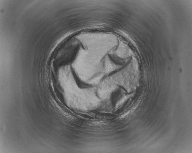 X0000071900835200607281801