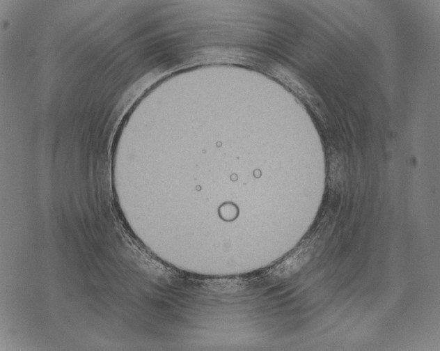 X0000071900836200607281801