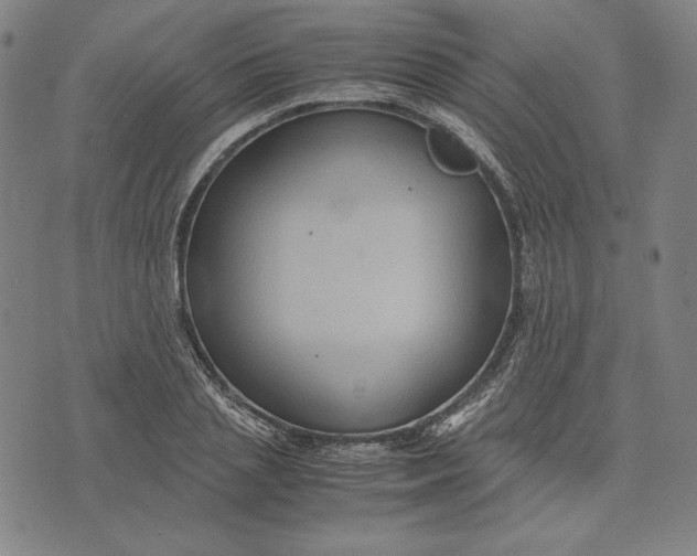 X0000071900837200607281801