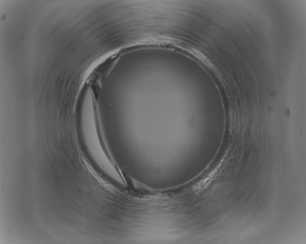 X0000071900838200607281801