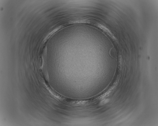 X0000071900841200607281801