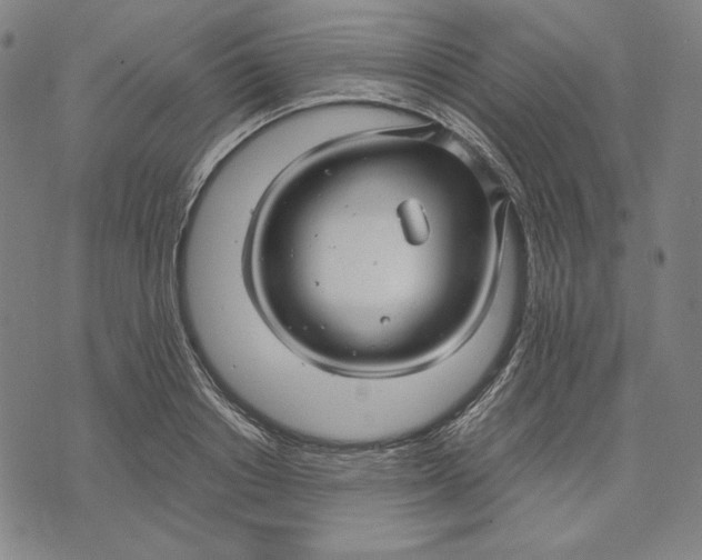 X0000071900842200607281801