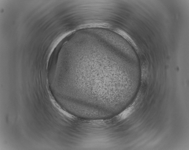 X0000071900844200607281801