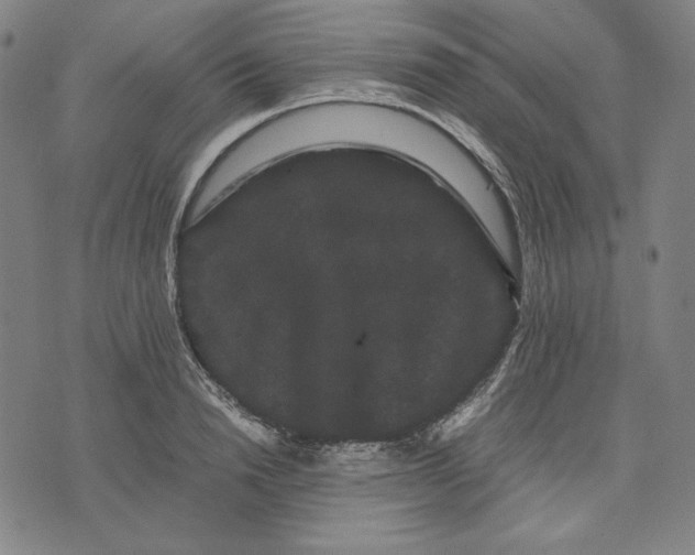 X0000071900846200607281801