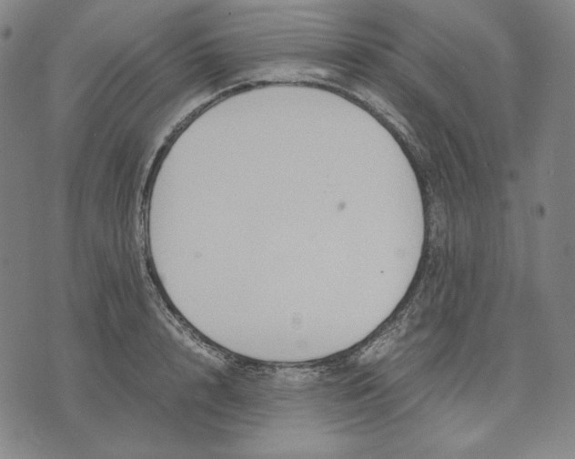 X0000071900848200607281801