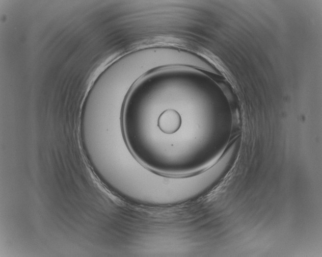 X0000071900850200607281801