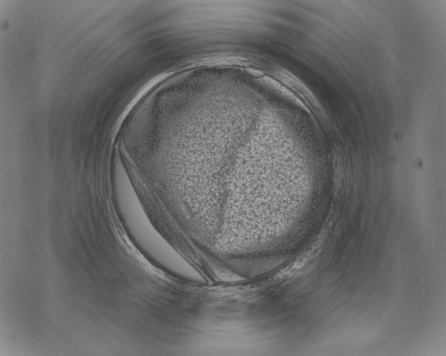 X0000071900852200607281801