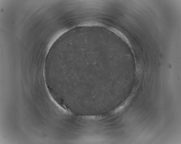 X0000071900855200607281801