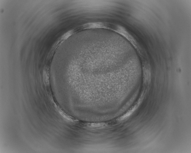 X0000071900857200607281801