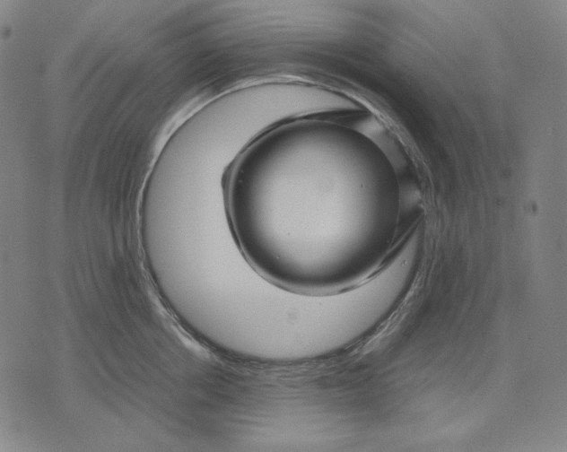 X0000071900858200607281801