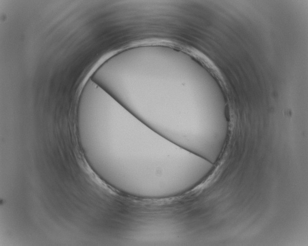 X0000071900860200607281802