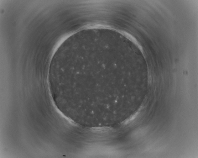 X0000071900863200607281802