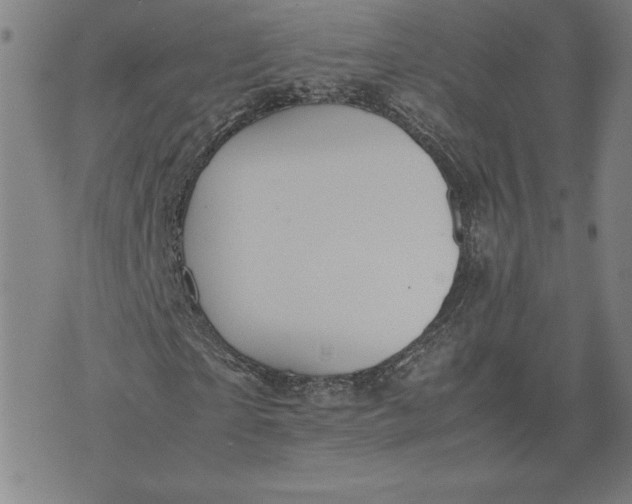 X0000071900865200607281801