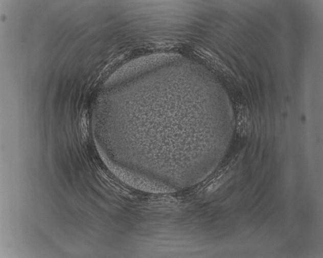 X0000071900866200607281801