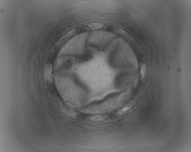 X0000071900867200607281801