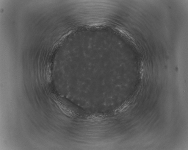 X0000071900868200607281801