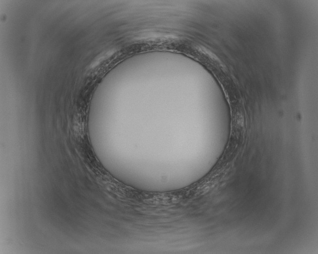 X0000071900869200607281801