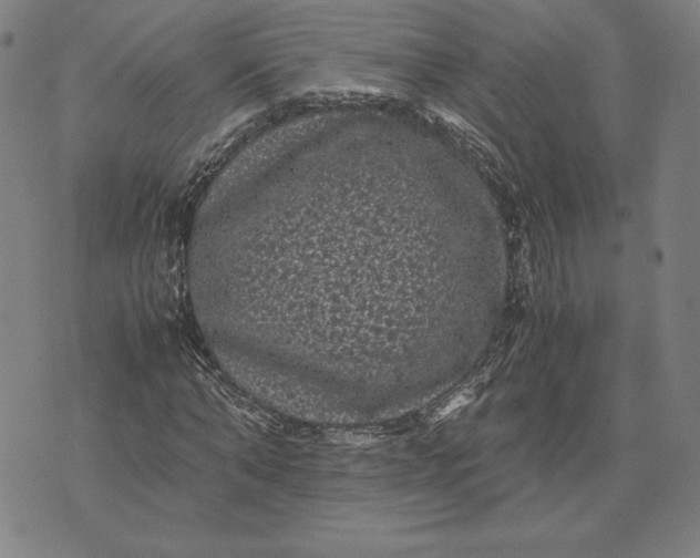 X0000071900870200607281801