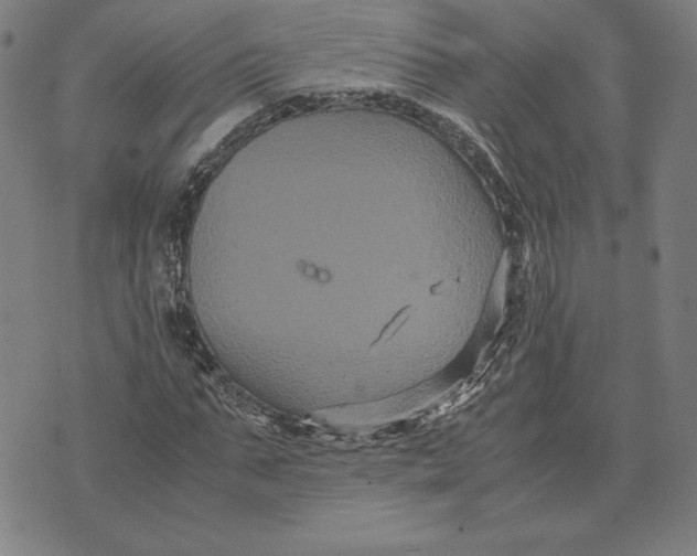 X0000071900871200607281801