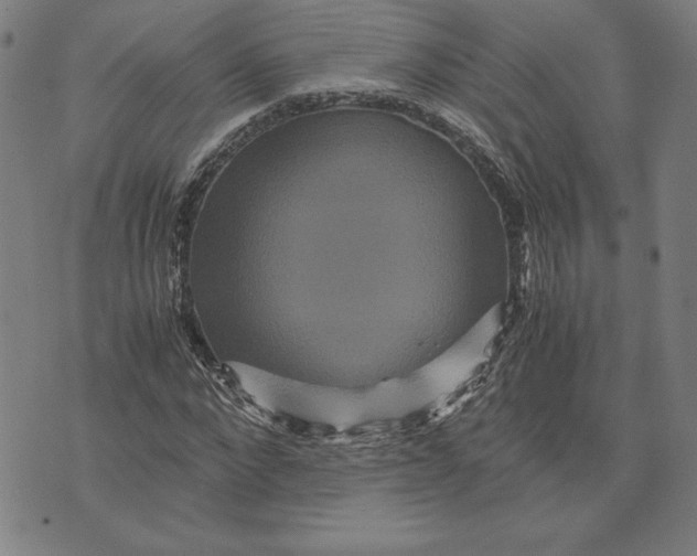 X0000071900872200607281801