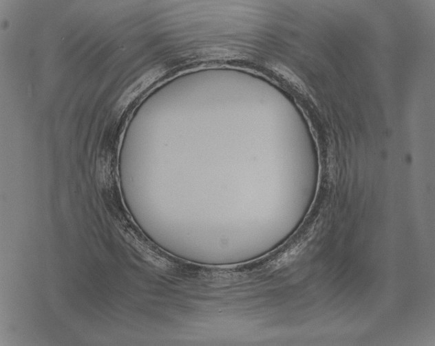 X0000071900873200607281801