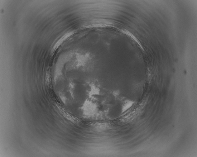 X0000071900874200607281801