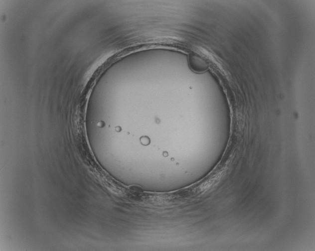 X0000071900875200607281801