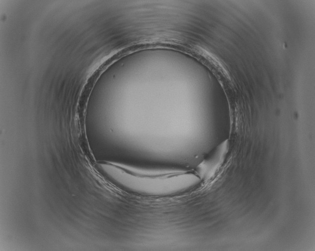 X0000071900876200607281801