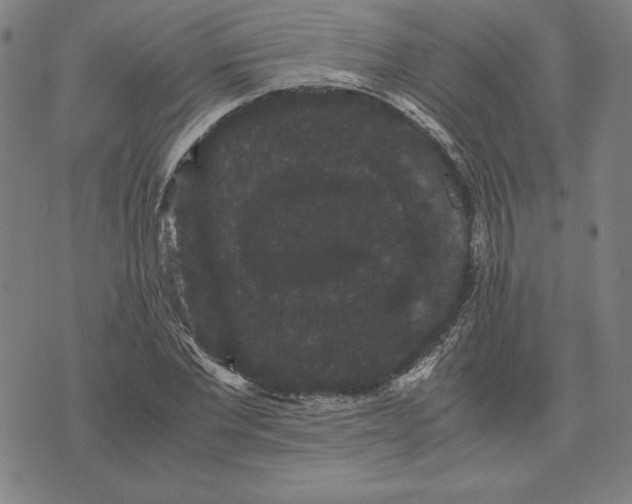 X0000071900877200607281801