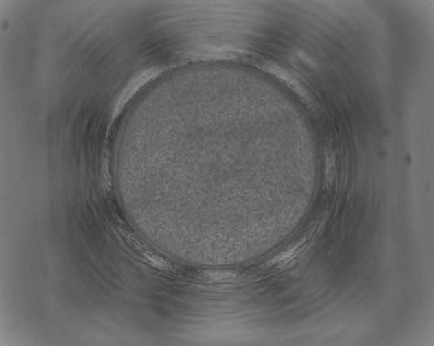 X0000071900878200607281801