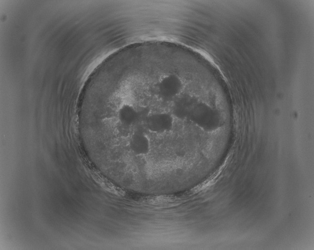 X0000071900879200607281801