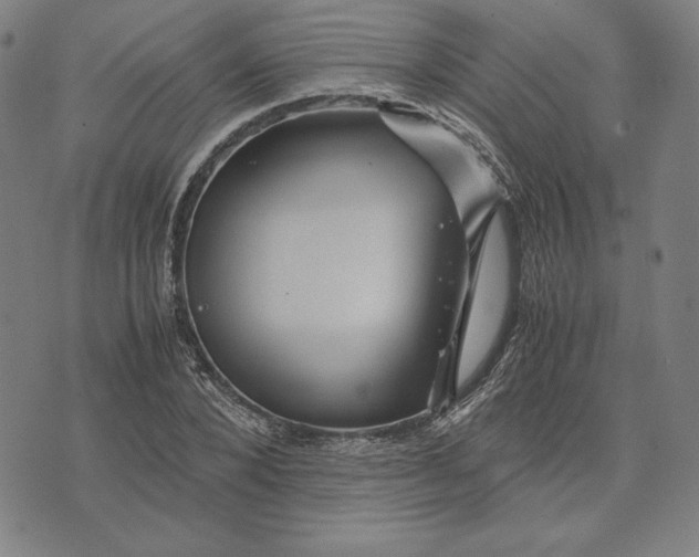 X0000071900880200607281801