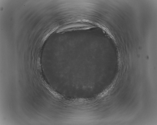 X0000071900881200607281801