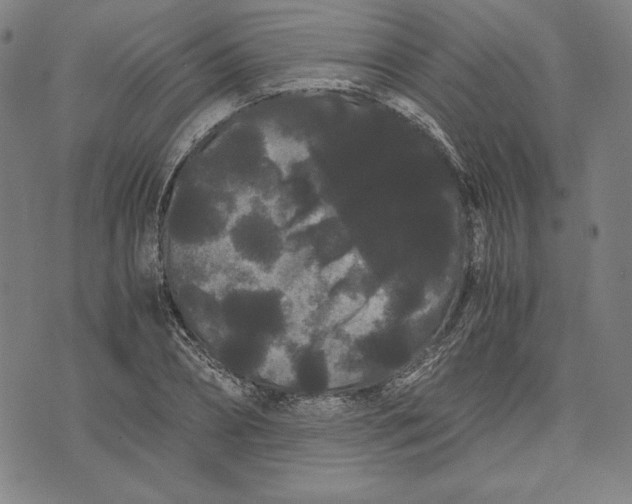 X0000071900882200607281801