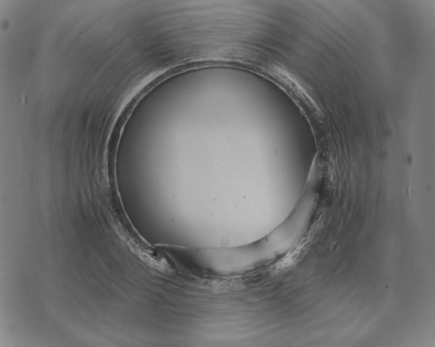 X0000071900884200607281801