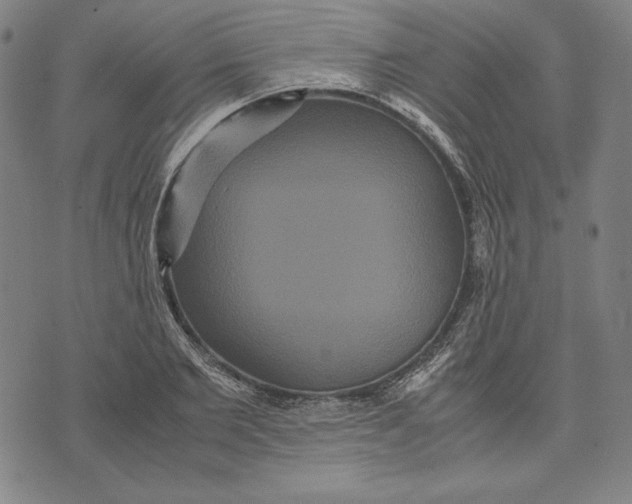 X0000071900885200607281800