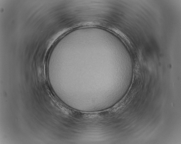 X0000071900886200607281800